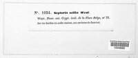 Image Associated With the Occurence